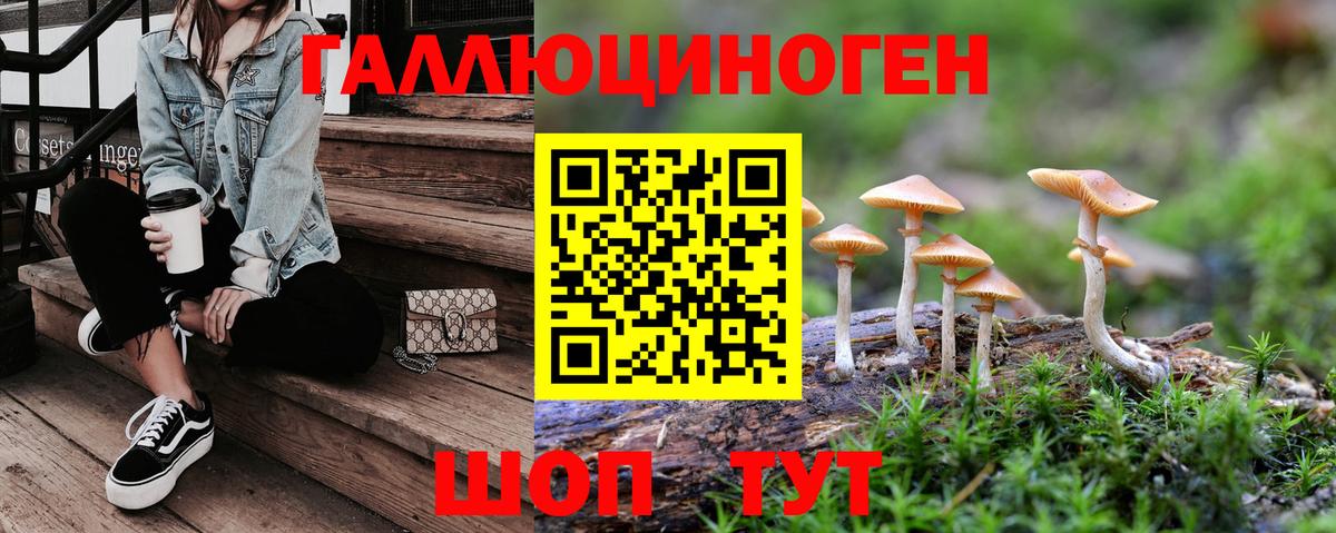 Галлюциногенные грибы прущие грибы Костомукша