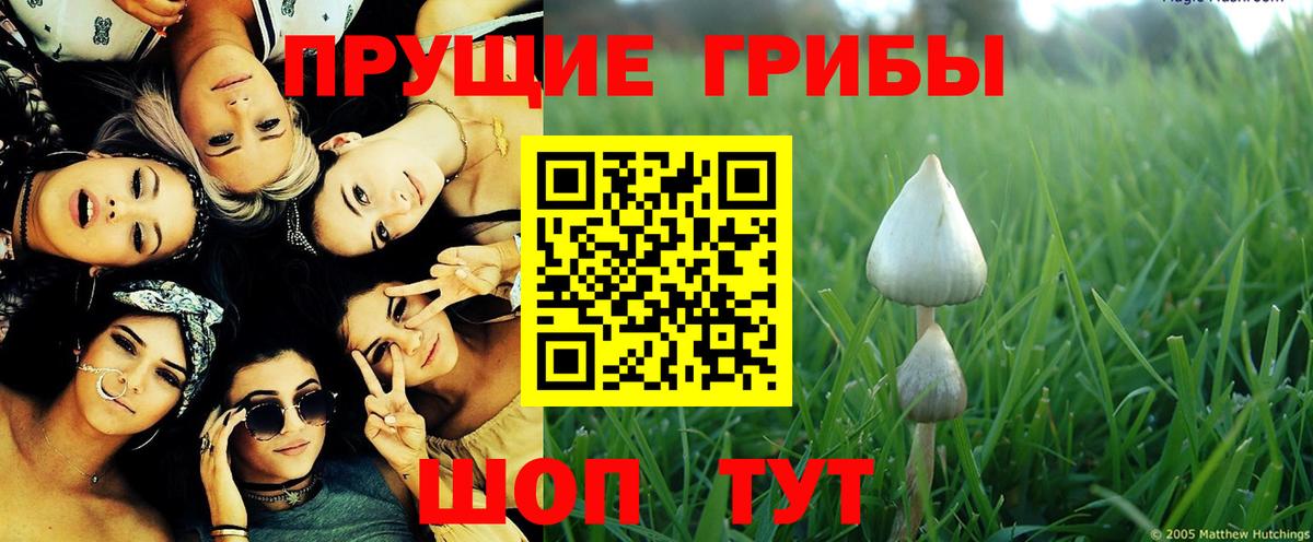 Костомукша  Псилоцибиновые грибы Psilocybine cubensis  закладки  Вход с VPN  Галлюциногенные грибы MAGIC MUSHROOMS 